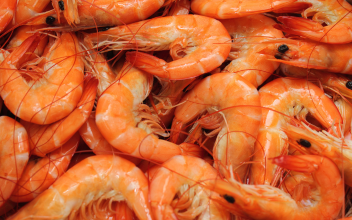 Premium Shrimp